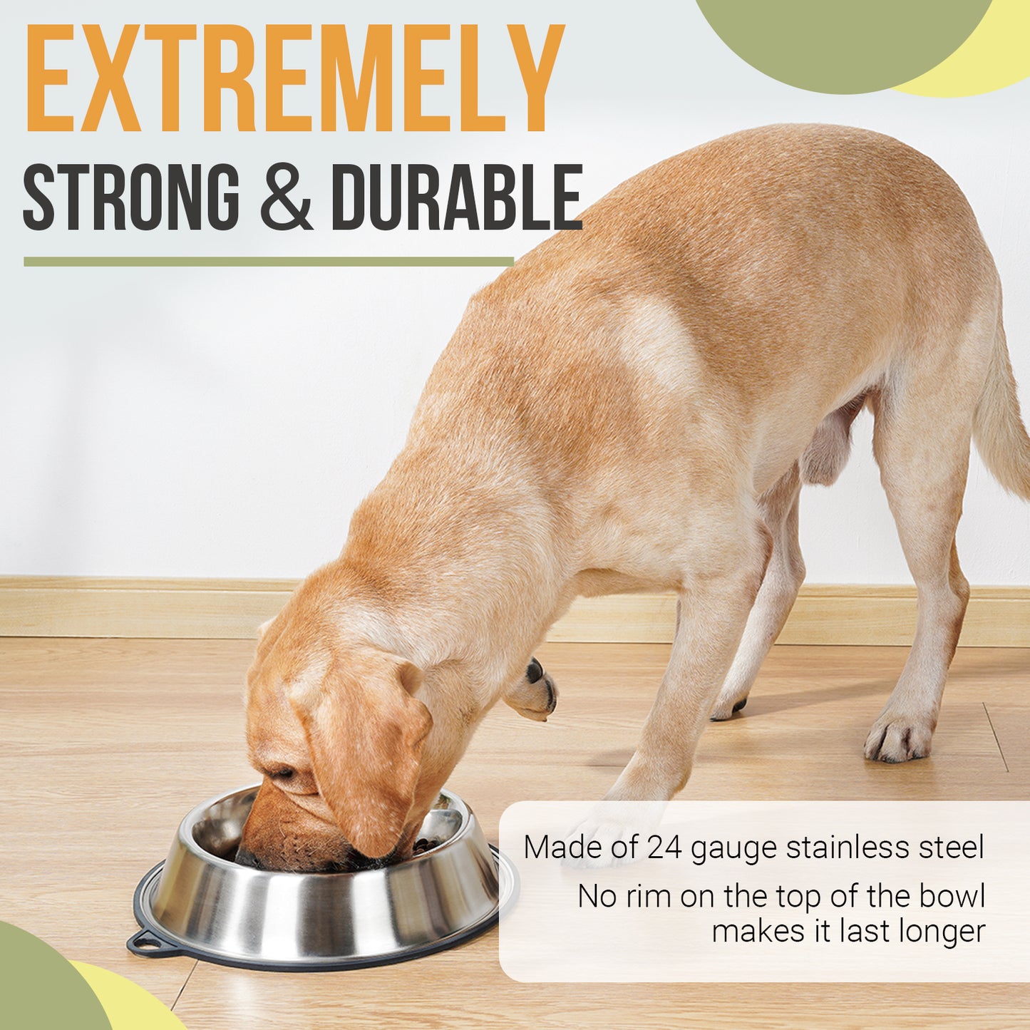 Stainless Steel Slow Feeder Dog Bowl